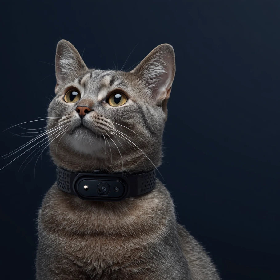 Portable Pet Collar Camera