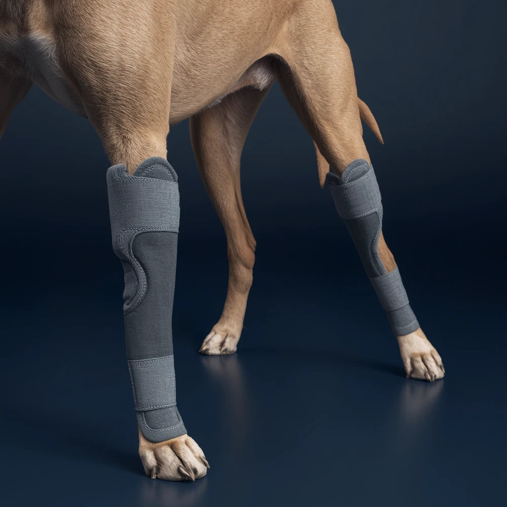 Dog Knee Brace Leg Protector